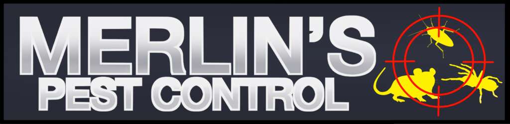 Pest Monitoring & Maintenance