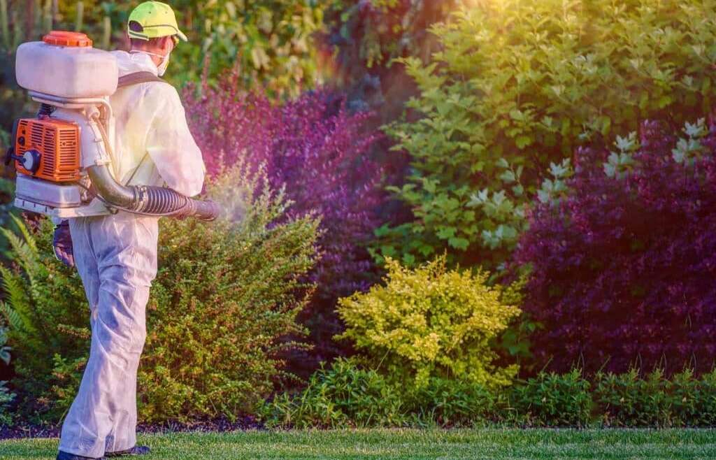 Technician applying pest control treatment in Sydney garden