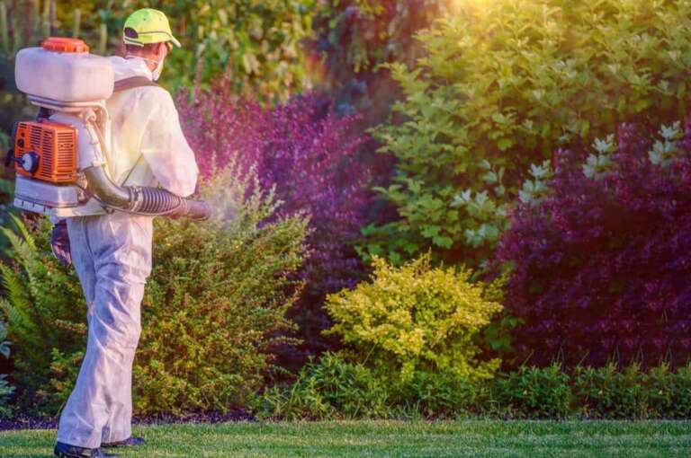 Technician applying pest control treatment in Sydney garden
