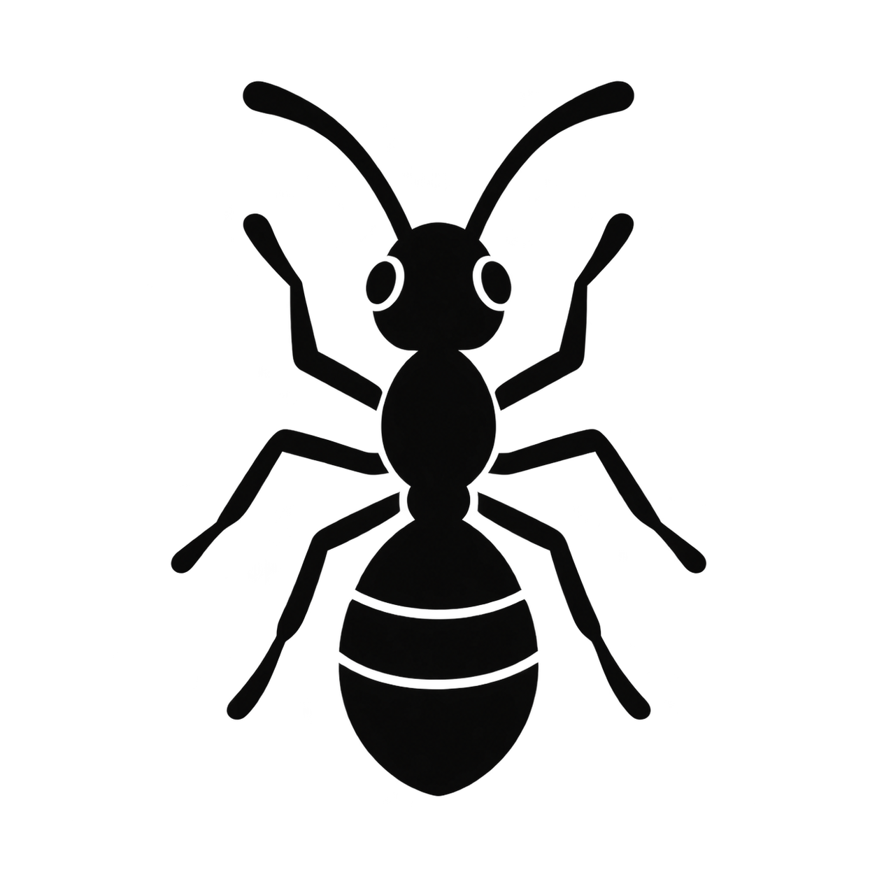 Ants Pest Control Sydney