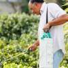 Main Tools for a Successful Pest Control